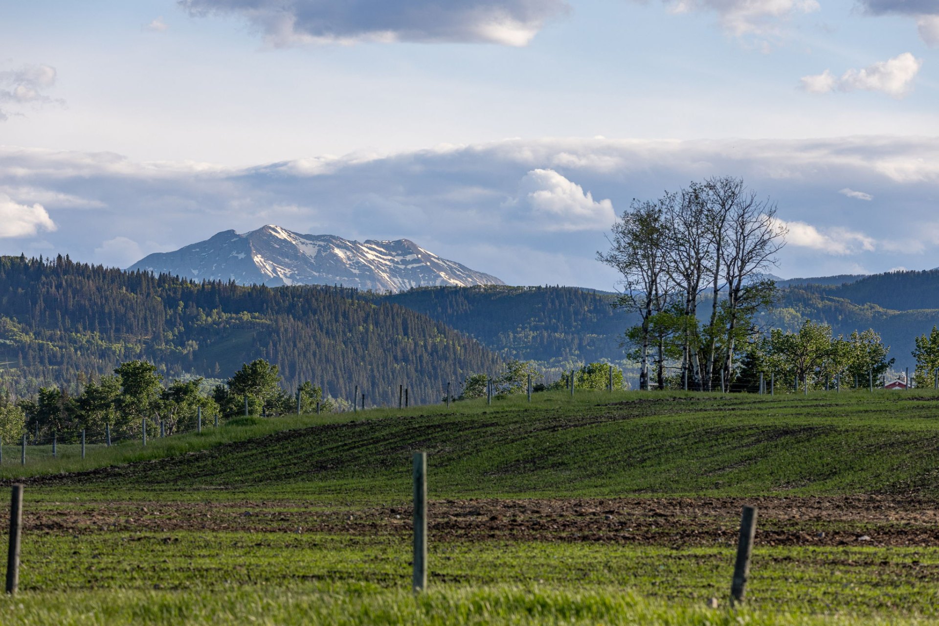 Snow-capped mountain peak rising above forested foothills and freshly worked cropland