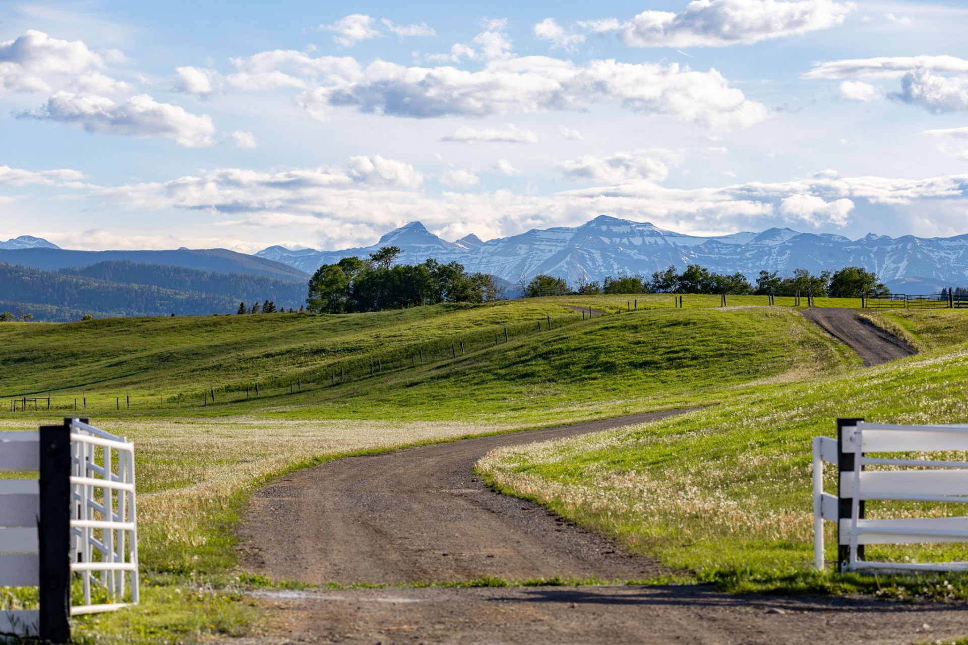 White-rail entry gate and gravel driveway curving toward the Rockies