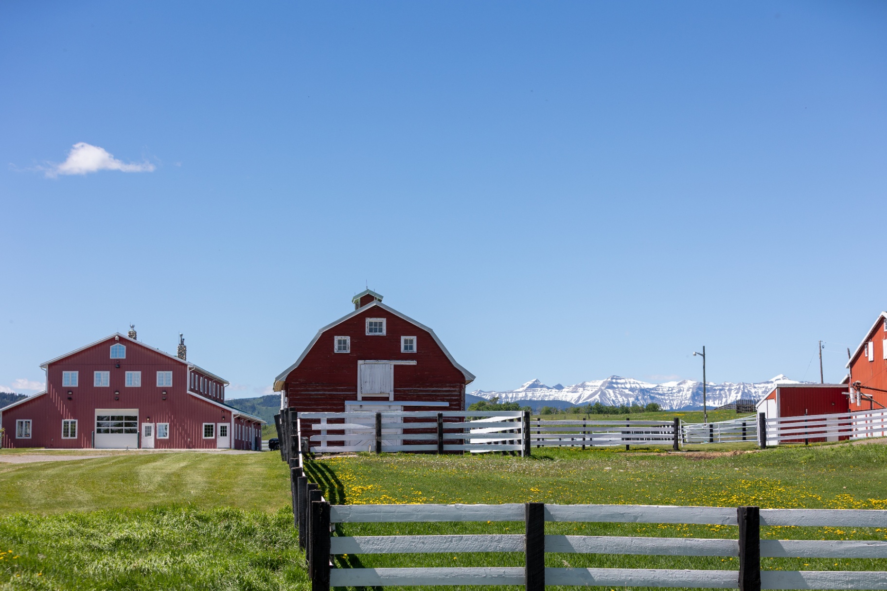 Legacy Sky Ranch — Red barns and Rocky Mountain skyline