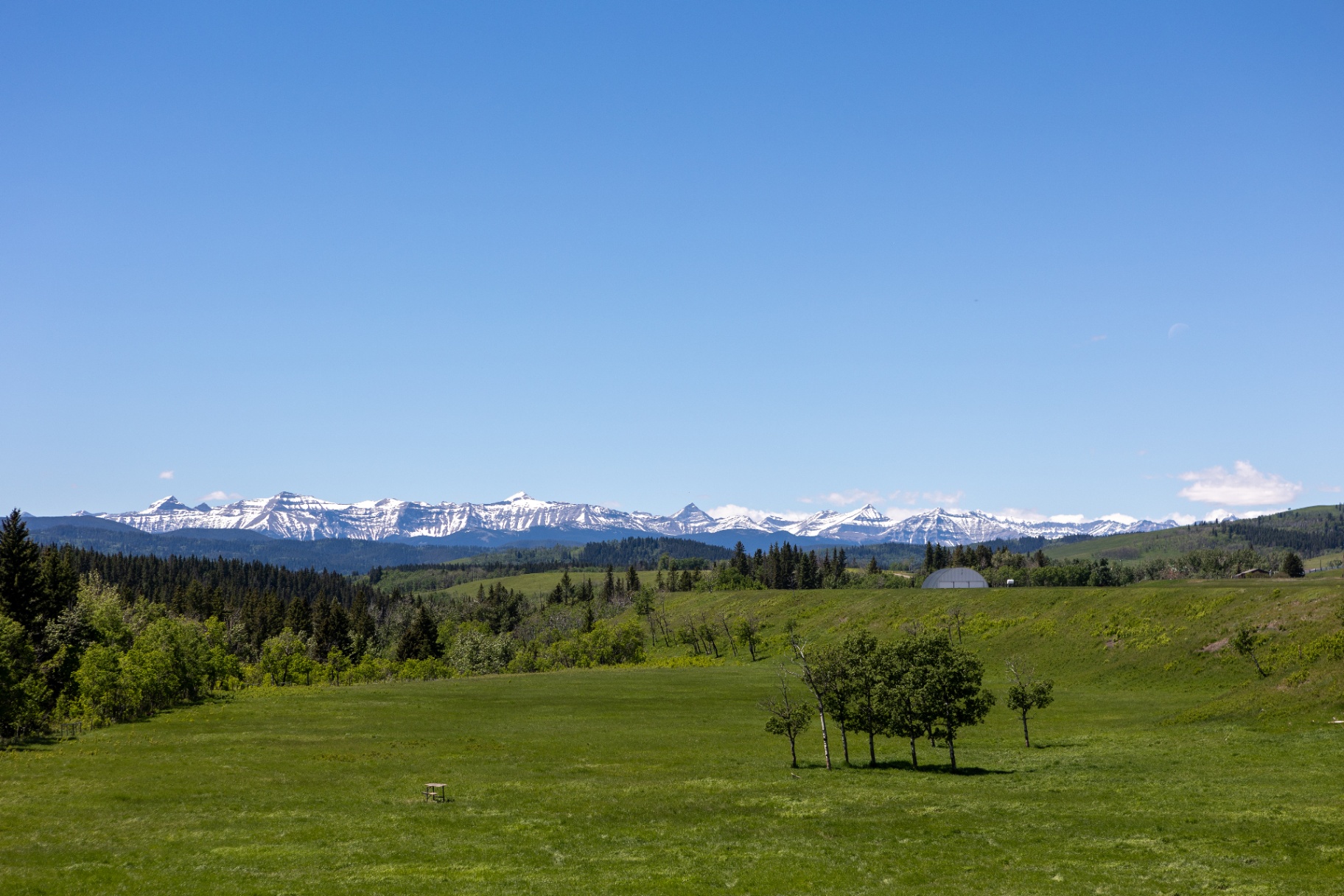 Panoramic foothills pasture with snow-capped Rockies and the hangar in the distance