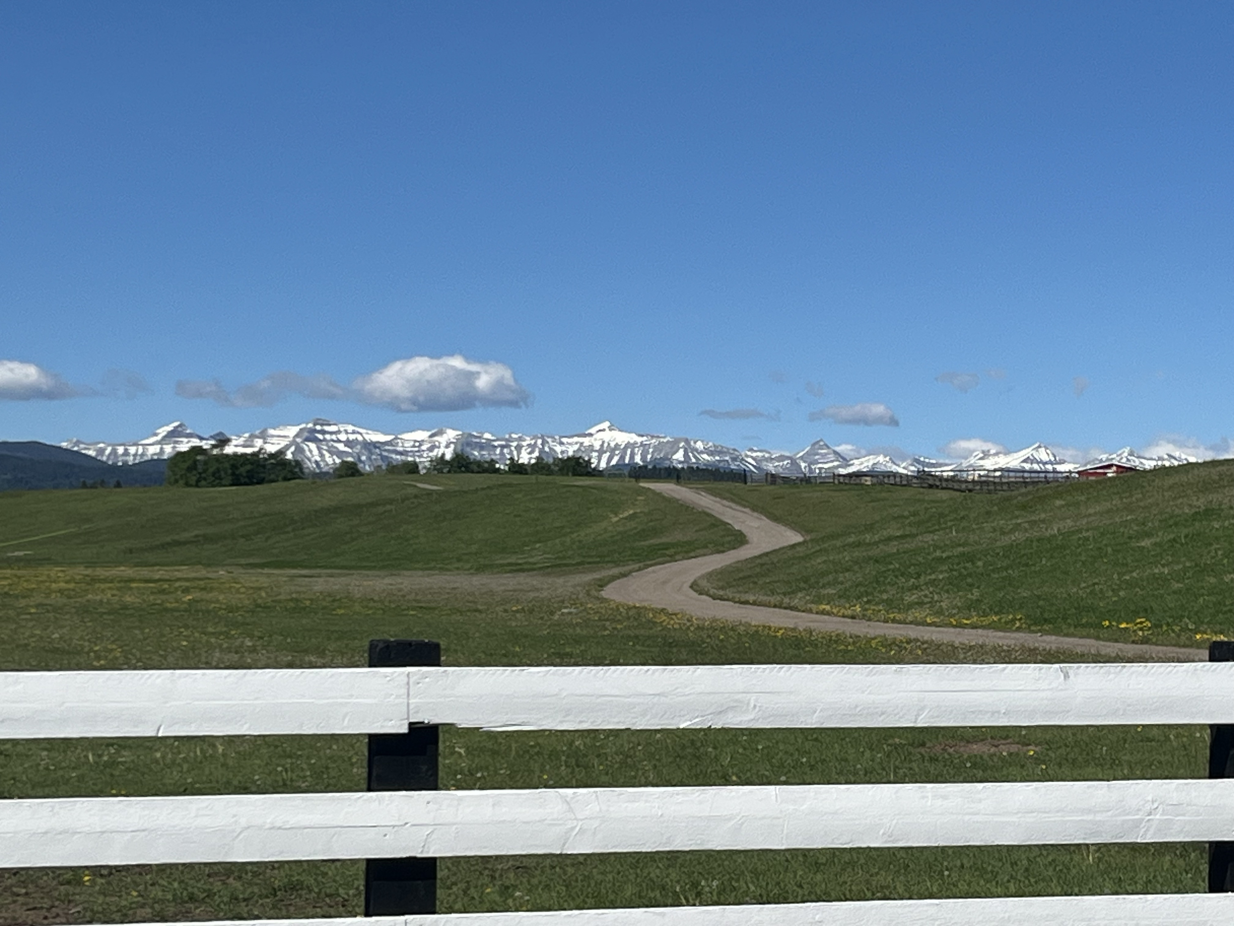 White board fence with the ranch driveway winding toward snow-capped Rockies